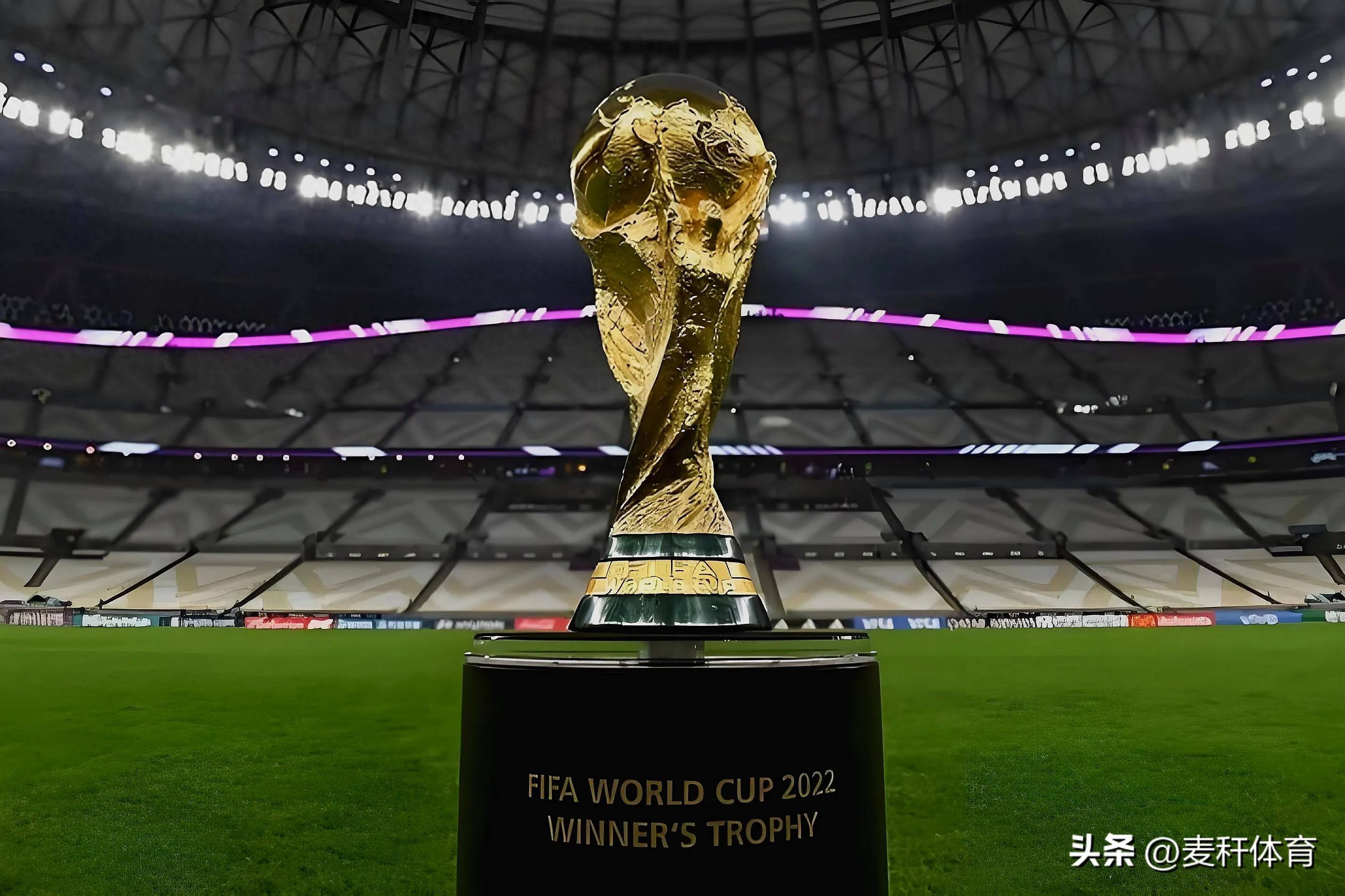 具备丰富的 具备丰富的