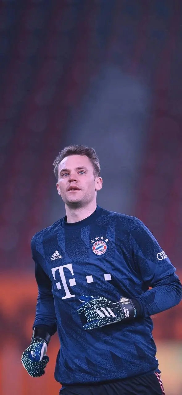 因为目前多 因为目前多